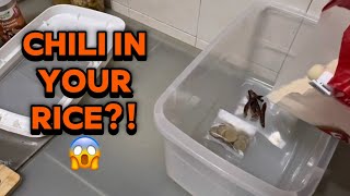 How to Keep Weevils Away From Rice