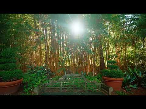 'Iona' 2 Darley Street, Darlinghurst, Sydney CBD, 7 Kuwarto, 7 Banyo, House