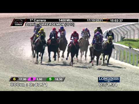 211017 c01 PULPO OLLERO