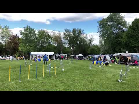 Jordi & Johanna | CdH Lippstadt | Jumping Open 2. Platz