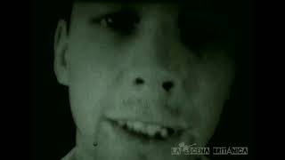 BRITISH SEA POWER - We Are the Sound