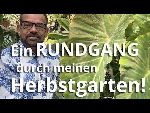 Mein grünes PARADIES - Ein Rundgang durch den HERBSTGARTEN des Biogärtners
