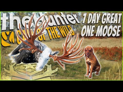 I Hunted Moose For 7 Days STRAIGHT & Got This INSANE Fabled Speckled Great One! Call of the wild