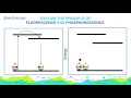 Explain the principle of  Fluorescence and Phosphorescence. | Analytical Chemistry