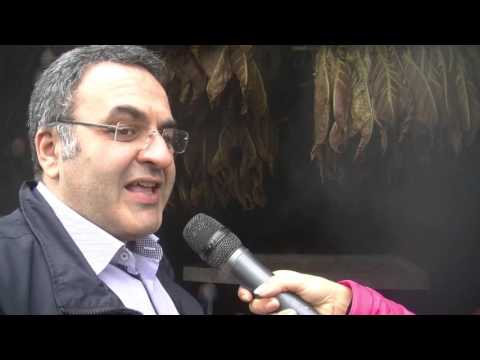 Sigaro Mastro Tornabuoni