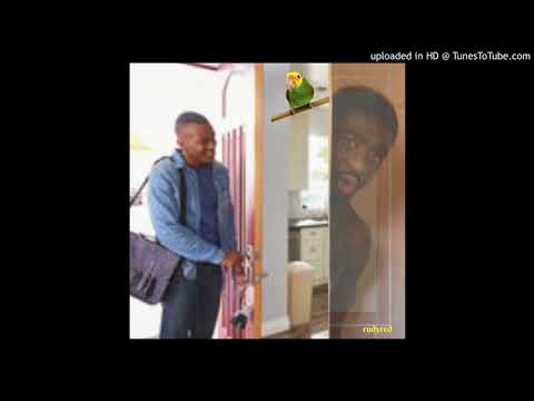 Count Lasher - Talking Parrot