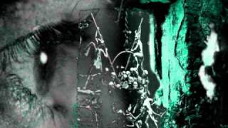 The Tear Garden - Room with a view