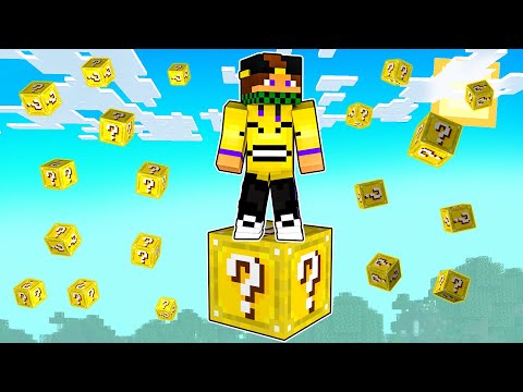 HO GIOCATO A MINECRAFT IN UN SOLO LUCKY BLOCK