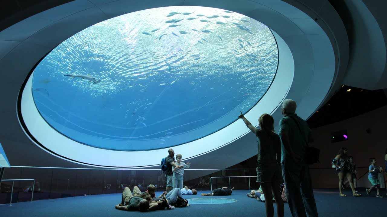 Frost Science Museum in Miami A Discovery Around Every Corner VISIT