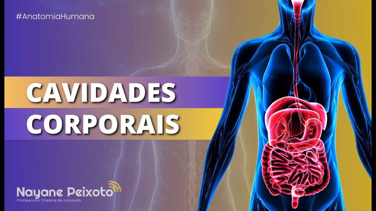 Cavidades do corpo e seus revestimentos