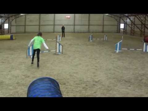 Kraft Agility Kupa Kezdő Dis :)