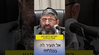 הרב אייל עמרמי - אל תעיר לה בכלל (הרב אייל עמרמי) - התמונה מוצגת ישירות מתוך אתר האינטרנט יוטיוב. זכויות היוצרים בתמונה שייכות ליוצרה. קישור קרדיט למקור התוכן נמצא בתוך דף הסרטון