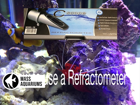 How to use a Refractometer for a saltwater tank. 10 gallon reef: Day 7 update.