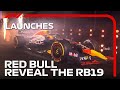 Ford Returns To F1 And Red Bull Reveal The RB19! | F1 Launches 2023