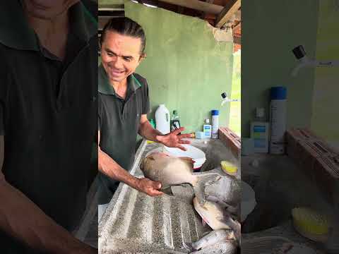 Qual o peixe melhor #sitiolagoverde