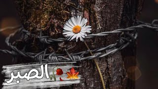 اجمل كلام عن الصبر حالات واتس اب دينية حالات واتس عن الصبر مقاطع قصيرة كلام مؤثر عن الصبر حالات واتس