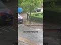 Agenten proberen HANGBUIKZWIJN te VANGEN | #shorts