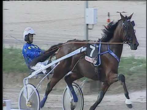 Trotto 10/11/2019 - 2ª corsa