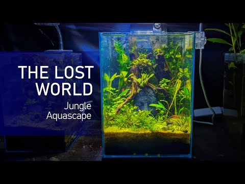 THE LOST WORLD | Jungle Aquascape [nano aquascape 2021]