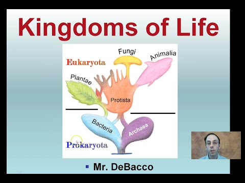 Kingdoms of Life