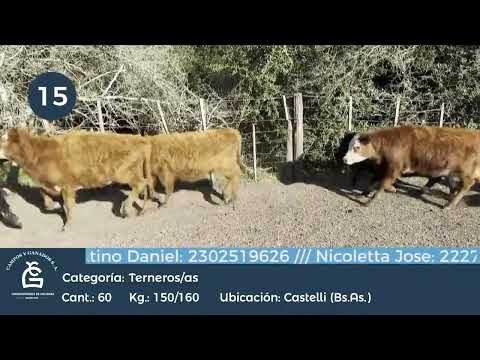 Lote M Y H - Castelli Bs As