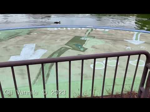 MLT　02364-37 20231106 Seg. 15:41 - 15:45　Kikuna Pond Park Pool　por iPhone por Kanji Nakano Japão