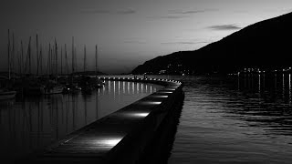 Pegasus  I take it all    by Rico58