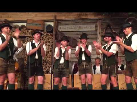 Aberseer Musikanten und Pascher / Aspacher Gstanzlsingen 2017