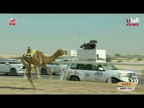  ش 5 (ترسانة) لـ ناصر عبدالله أحمد المسند 12:23:26 ,مهرجان الأمير الوالد 2026/2/11 حول زمول الشحاني