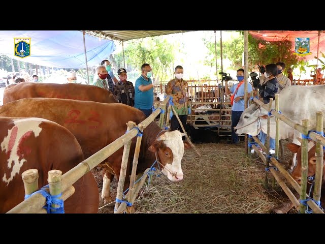 Peninjauan Ke Lokasi Penjualan Hewan Qurban di Jakarta Selatan
