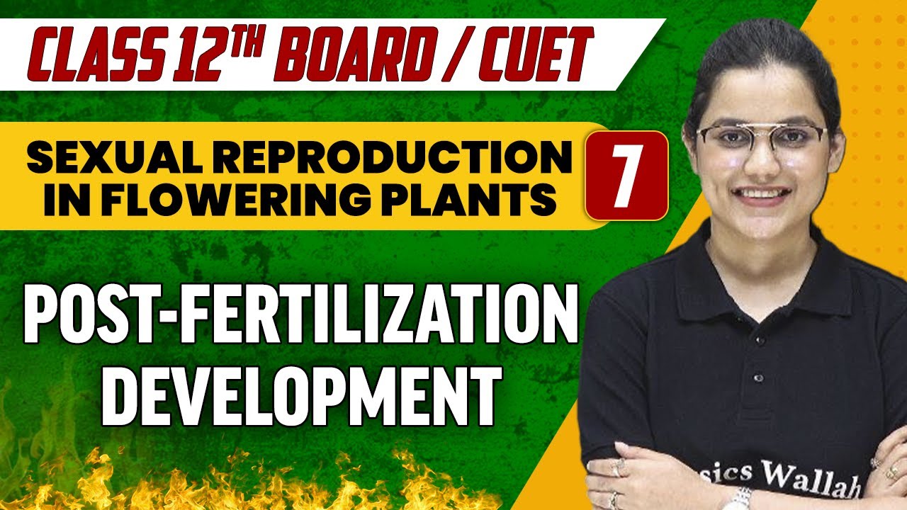 Sexual Reproduction in Flowering Plants 07 | Post-Fertilization Development | Class 12th/CUET