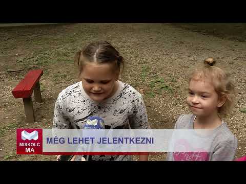 Videó előnézet