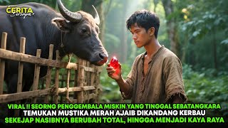 Download lagu VIRAL !! PENGGEMBALA MISKIN TEMUKAN MUSTIKA MERAH DIKANDANG KERBAU, SEKETIKA NASIBNYA BERUBAH mp3 Download lagu VIRAL !! PENGGEMBALA MISKIN TEMUKAN MUSTIKA MERAH DIKANDANG KERBAU, SEKETIKA NASIBNYA BERUBAH mp3