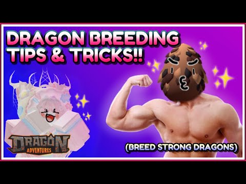 🐣 DRAGON BREEDING EXPLAINED 🐉 |Roblox Dragon Adventures Tips