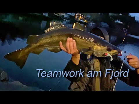 Im neuen Zuhause in Norwegen - Teamwork am Fjord!