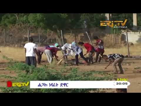 ERi-TV Tigre News - November 21, 2017