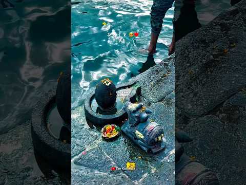 Sawan Status Video 😍 Sawan 2025 Video🌹 Mahadev status ❣️ bholenath status 💫 Mahakal status #shorts