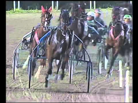 Trotto 07/12/2014 - 5° corsa