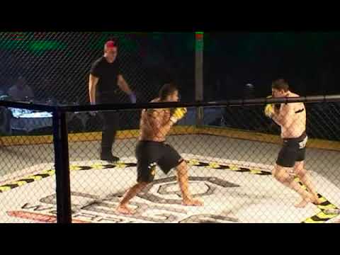 Antonio Silva vs Tadas Rinkevicius