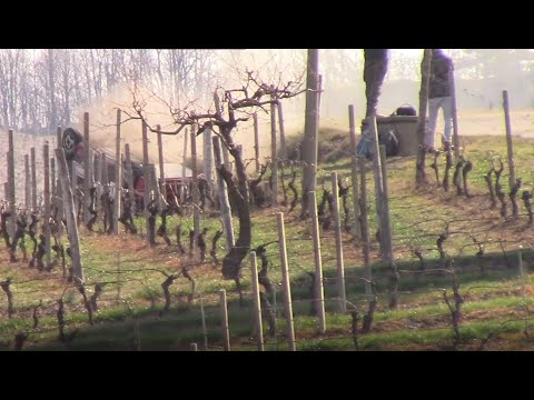 5° Rally Vigneti Monferrini 2022 (CRASH & MANY MISTAKES +POST CRASH)