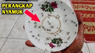 Download lagu HOW TO MAKE A MOSQUITO TRAP WITH COOKING OIL mp3