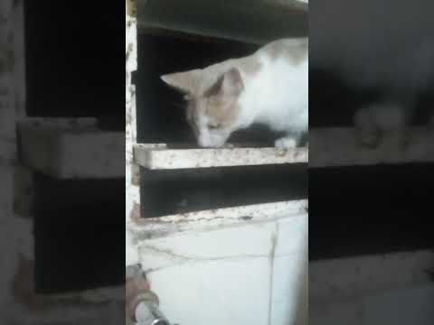 23 de febrero de 2024