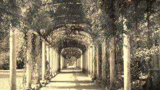 Michael Franks - &quot;Abandoned Garden&quot;