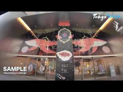[Tokyo Footage] GINZA SIX | GINZA SIX（Tokyo Japan）