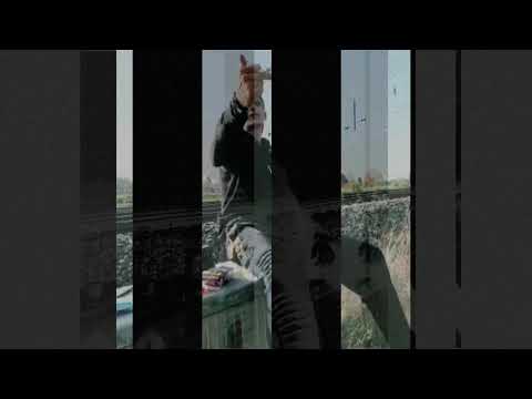 SEVEN PHÖNIX-Nenn dich nicht BRA