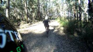 preview picture of video 'Berries MTB Trail'