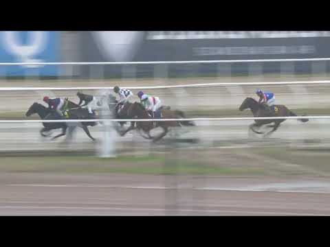 ITM Spring Mile (L) 2023 - Plantstepsdream