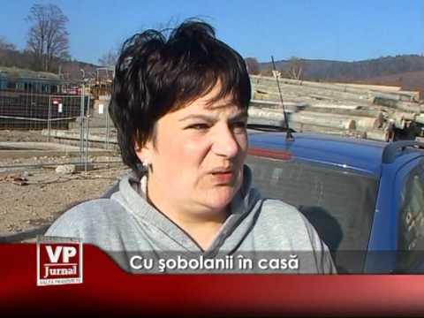 Cu şobolanii în casă