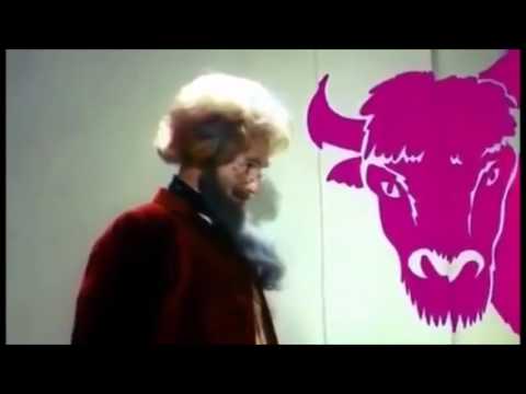 Dzik jest dzik, dzik jest zły ma bardzo ostre kły. Żubr też jest obecny :-)