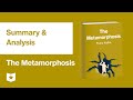 The Metamorphosis By Franz Kafka Summary Analysis